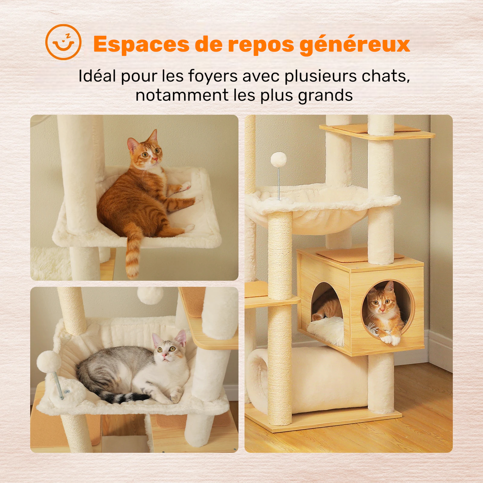 Arbre à Chat en Bois