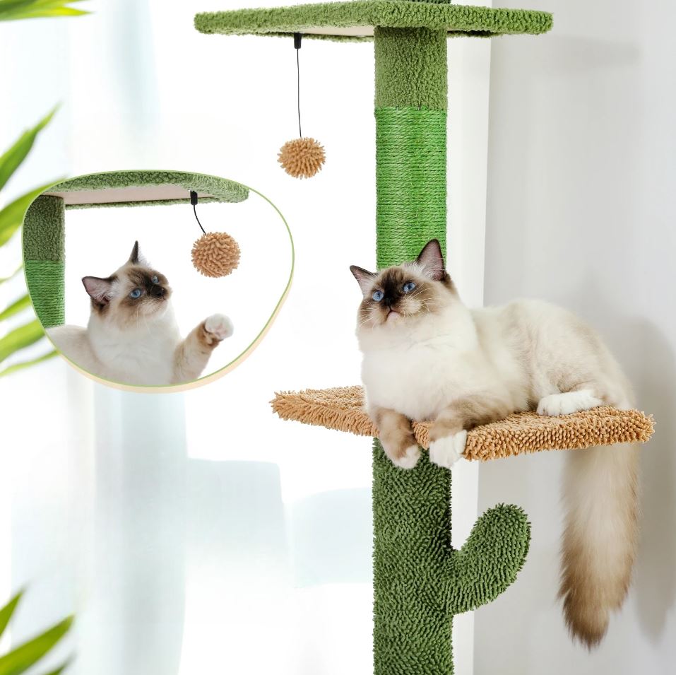 Arbre à Chat Cactus en Sisal Naturel