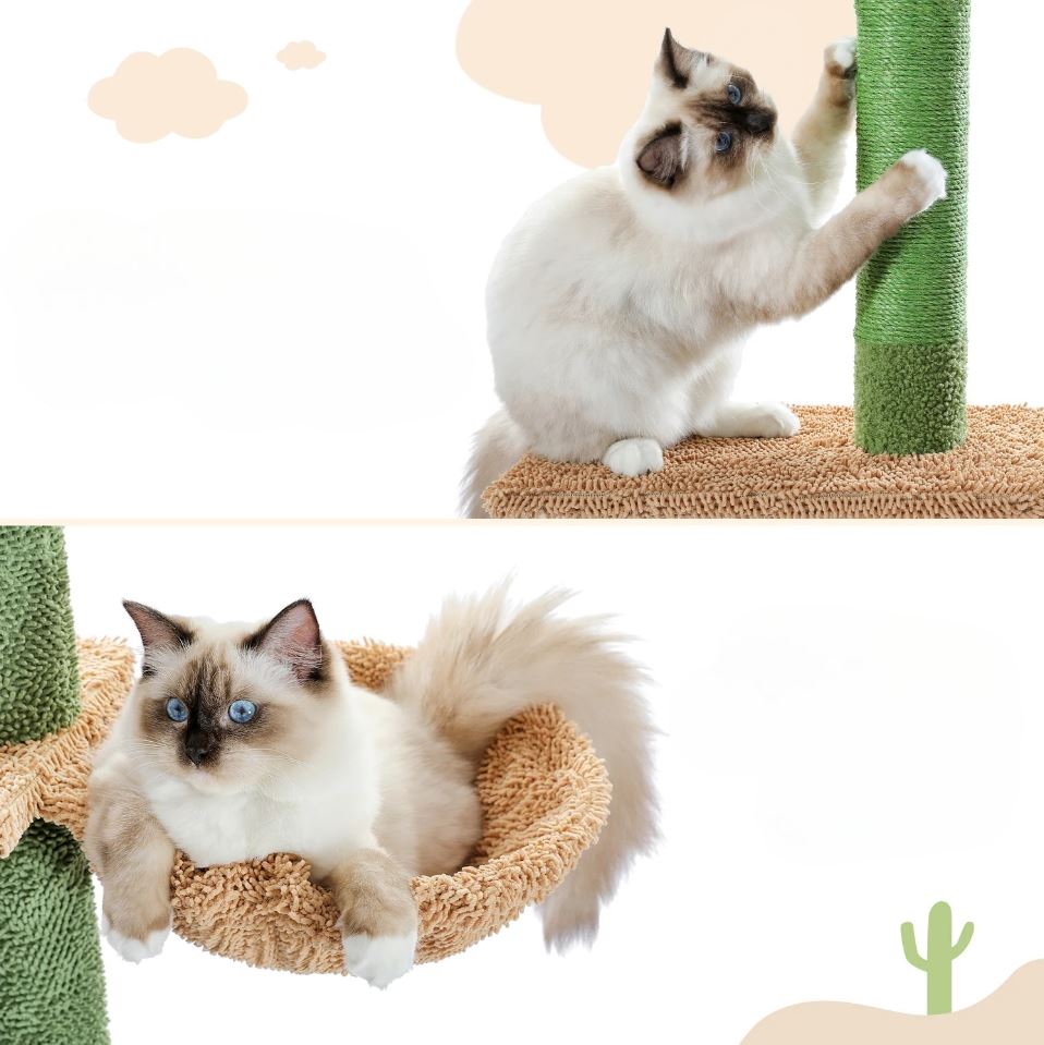 Arbre à Chat Cactus en Sisal Naturel